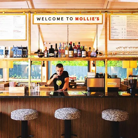 Mollie's & Diner Bristol